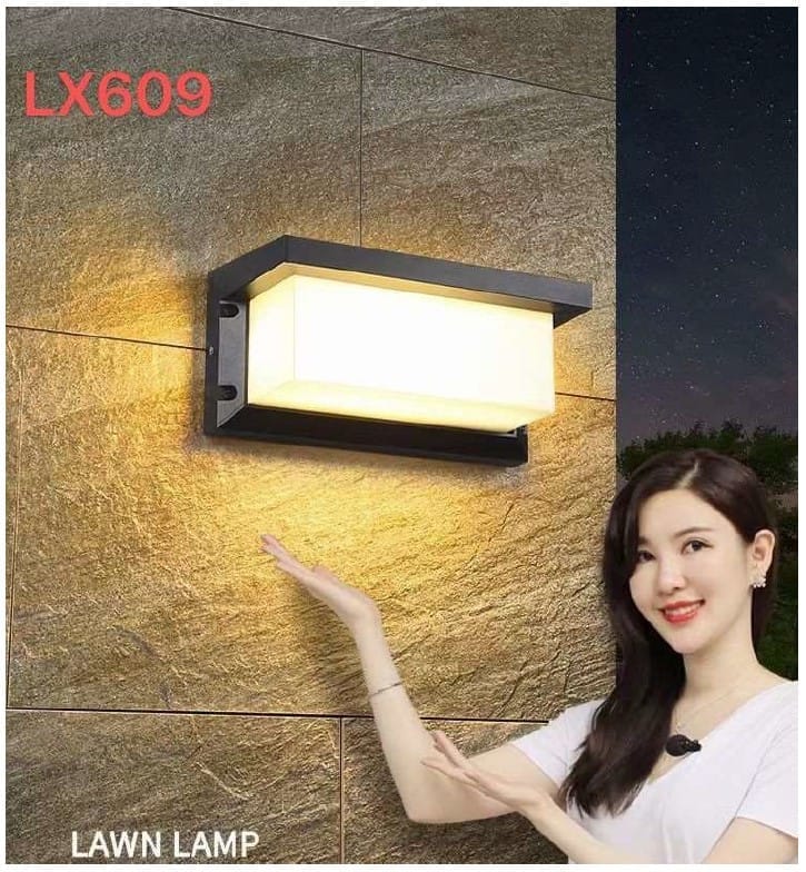 Outdoor Light - Swanart