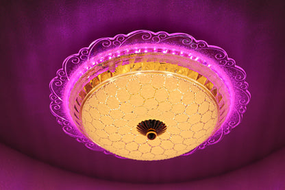 Swanart chandelier ceiling lights 1003-300 - Swanart