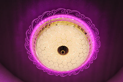 Swanart chandelier ceiling lights 1003-300 - Swanart