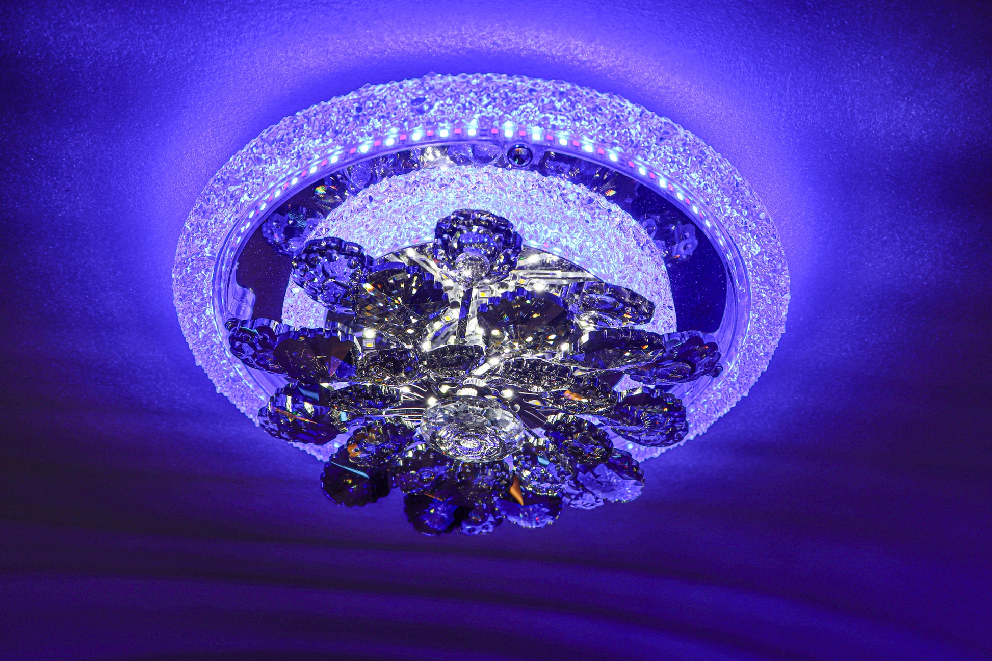 Swanart multi-color LED crystal flower light with glowing, luminous petals creating enchanting illumination.