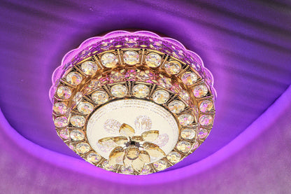 Swanart Chandelier Ceiling Lights K19-400 - Swanart