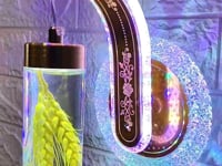Swanart Artistic Multi-Colour Flower LED Wall Light – Enhance Home Ambiance with Floral Elegance